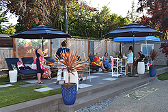 MOMENTUM - MULTI-VENDOR